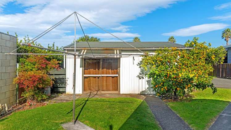 476A Palmerston Road Te Hapara_15