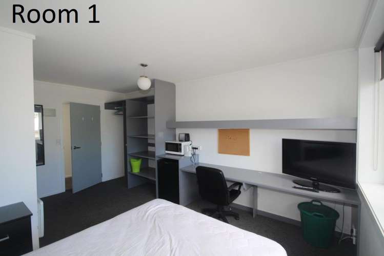 C/487 George Street North Dunedin_5
