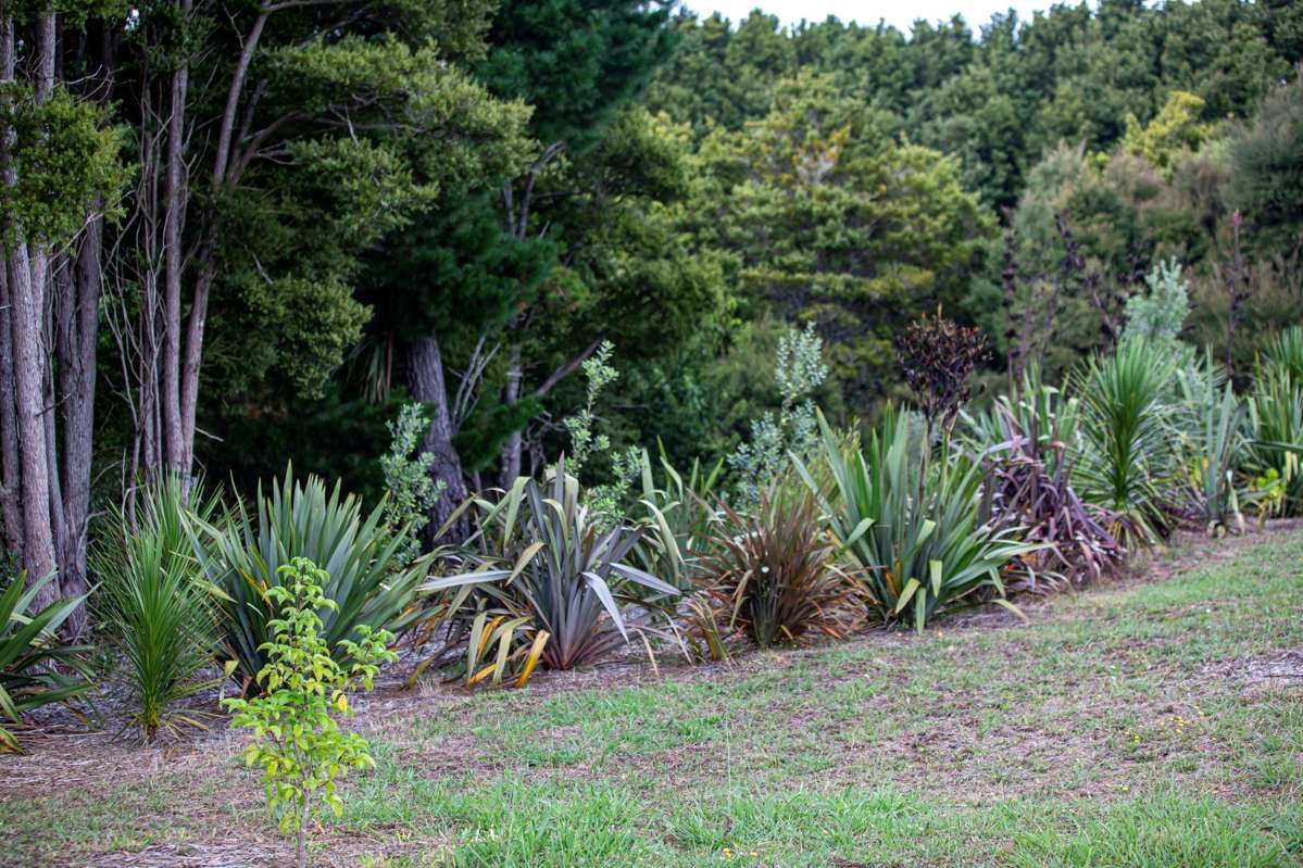 Lots 10-24 54a Redcliffs Road_4