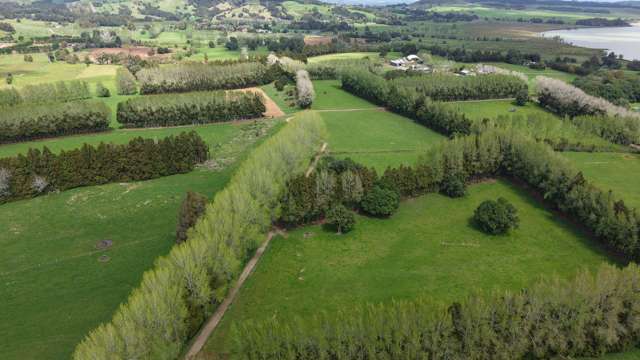 664 Te Pua Road Kaikohe_1