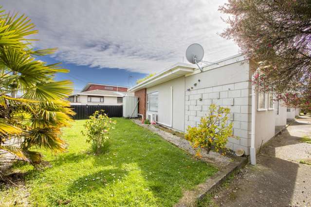 1/17 Francis Drake Street Waipukurau and Surrounds_1