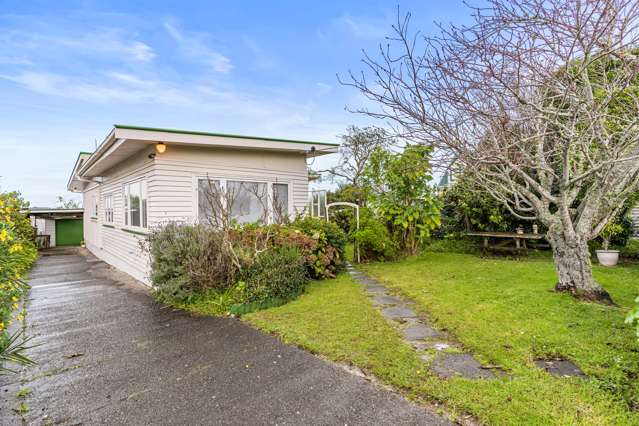 206 Sturges Road Henderson_4