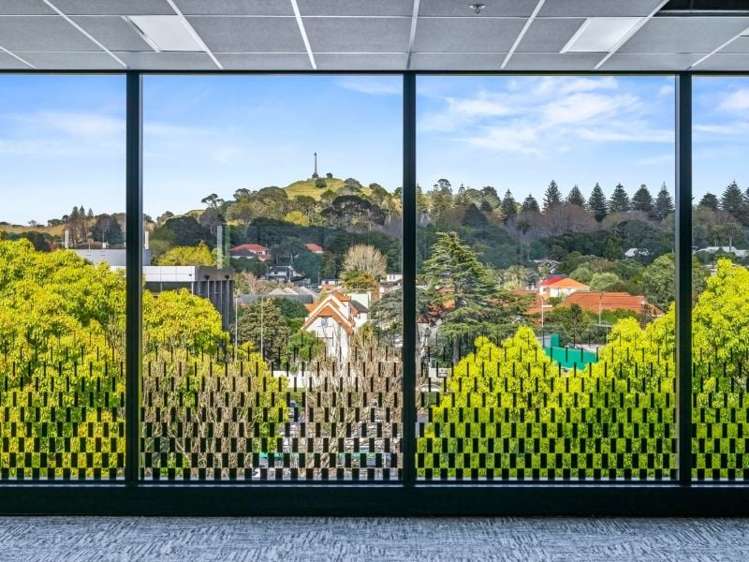 Whole Building/9 Marewa Road Greenlane_9