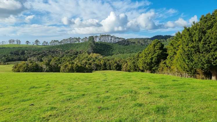 27 Riddell Road Kerikeri_14