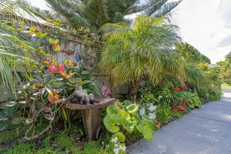 36 Oyster Drive Cooks Beach_21