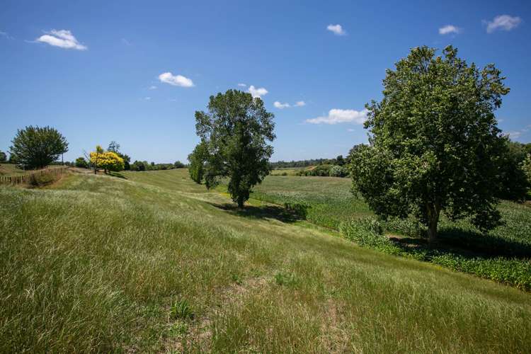 54 O'Shea Road Pirongia_10