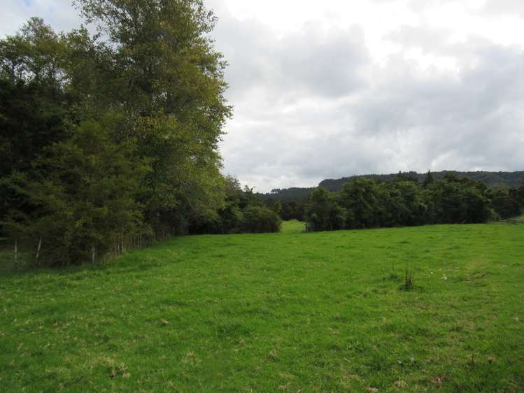 Bisset Road Kaikohe_9