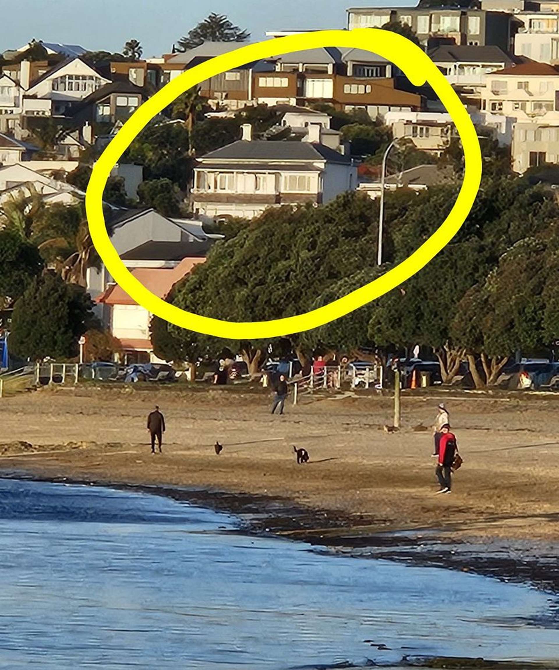 2/8 Clarendon Road St Heliers_0