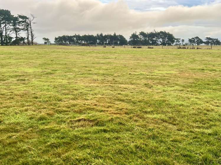 1169 Motu Rimu Road_5