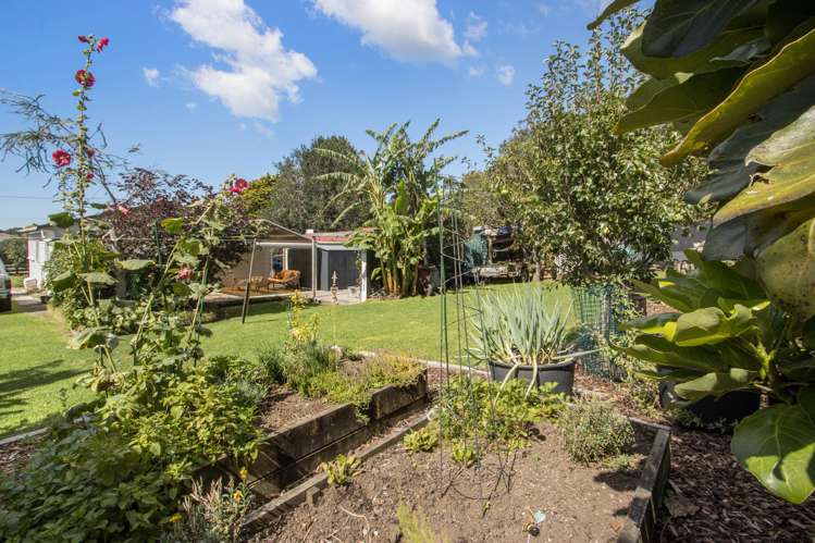 11 Boyd Street Katikati_13