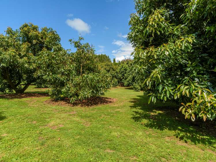 69 Francis Road Whakamarama_24