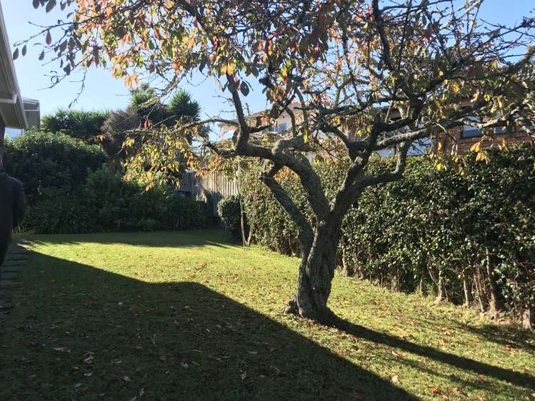 3/16 Hart Road Hauraki_7