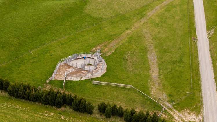 Lake Ohau Station Lake Ohau_28