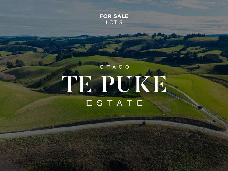 Lot 3 Te Puke Sections Milton_15