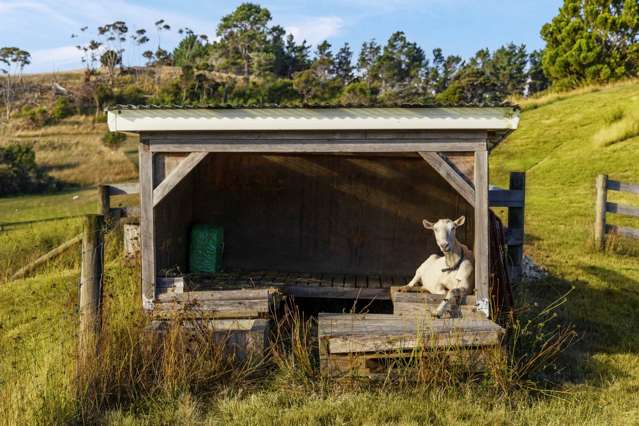 132 Dormer Road Waitoki_4