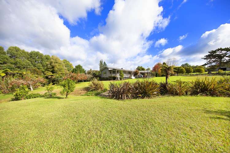 236 Blackbridge Road Dairy Flat_7