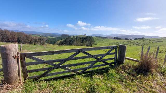 Cnr Milne and Aponga Stream Road Purua_1