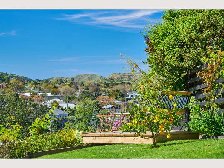 213 Russell Street Whataupoko_11