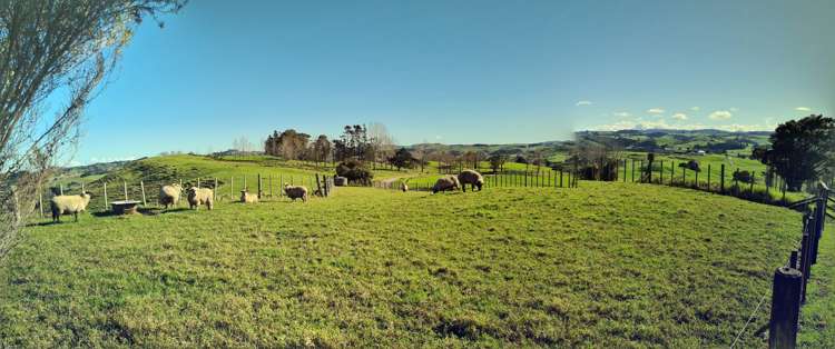 629 Mountain Road Maungaturoto_23