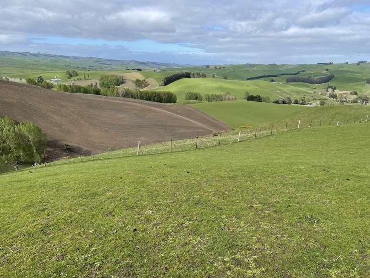 8 Munro Road Lawrence_3