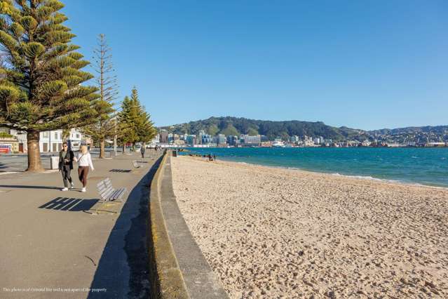 12a/48 Oriental Parade Oriental Bay_2