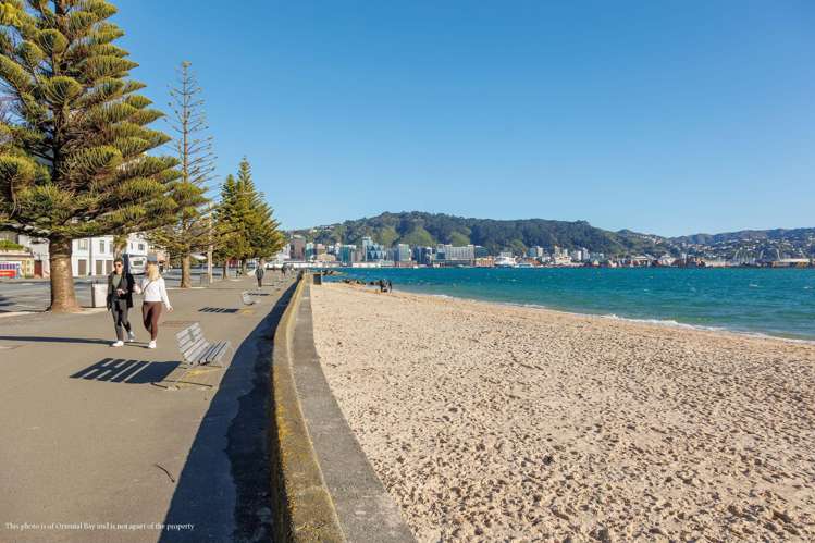 12a/48 Oriental Parade Oriental Bay_2