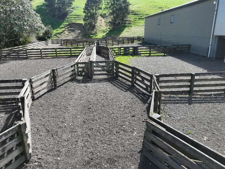 2829 Puketitiri Road Patoka_14