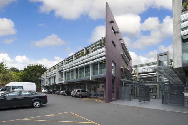 23 Edwin Street Mount Eden_1