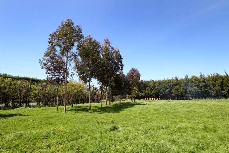 87 York Road Longlands_21