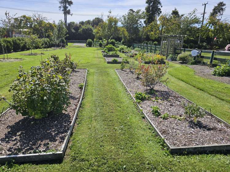 36 Umuroa Street Mamaku_22