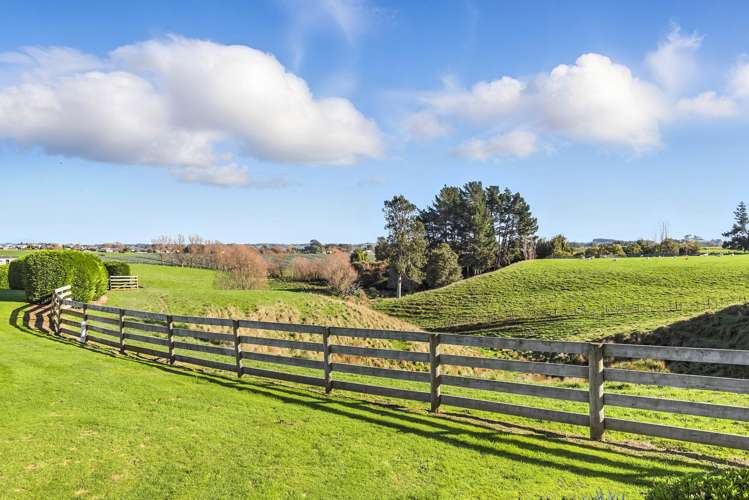 39A The Avenue Levin_24