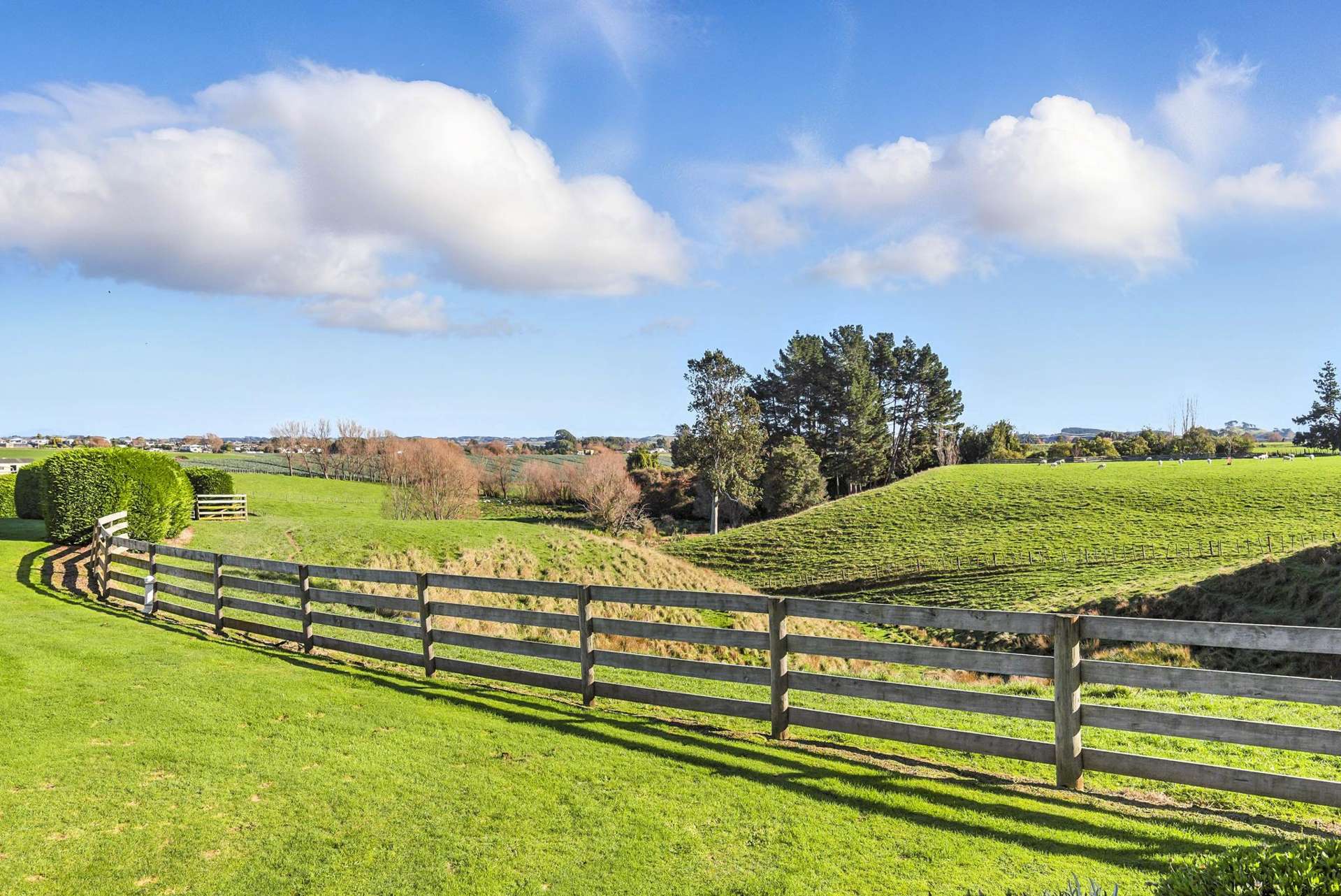 39A The Avenue Levin_0