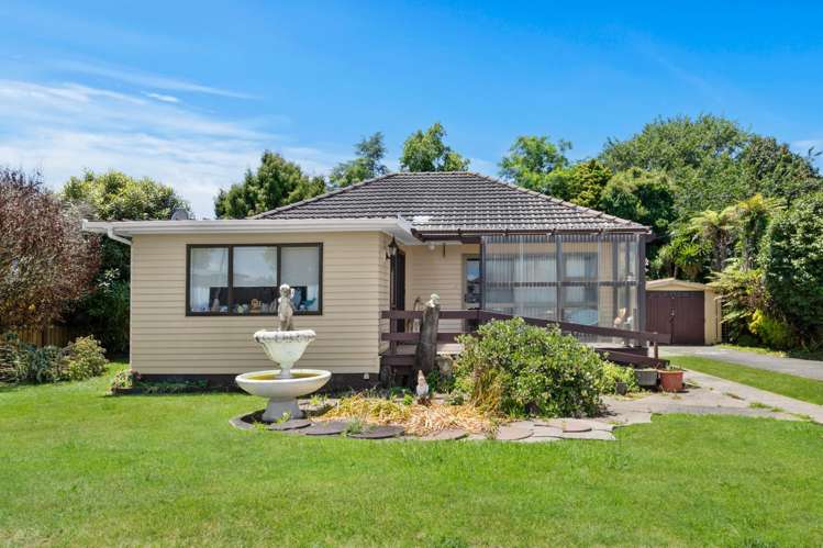 6 Sanders Avenue Morrinsville_0
