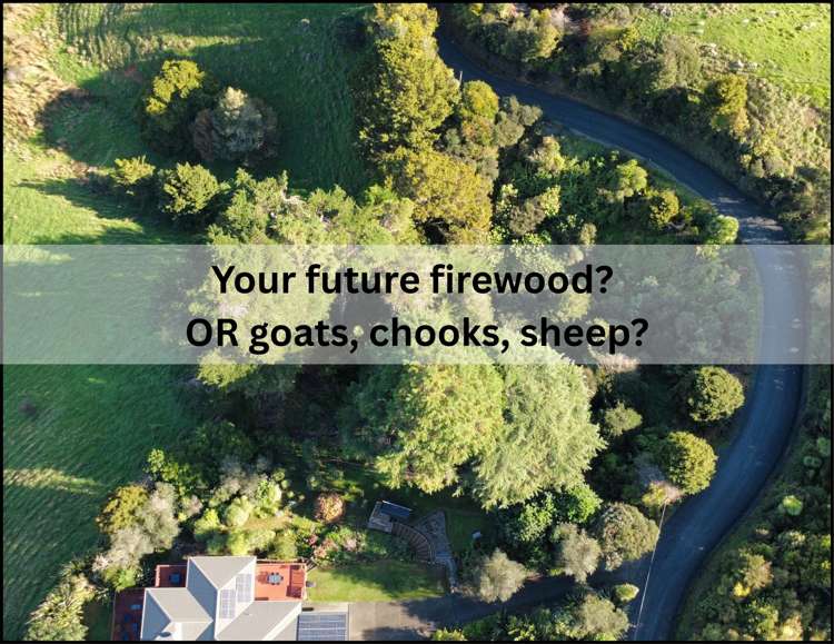 42 Hungry Creek Road Puhoi_11