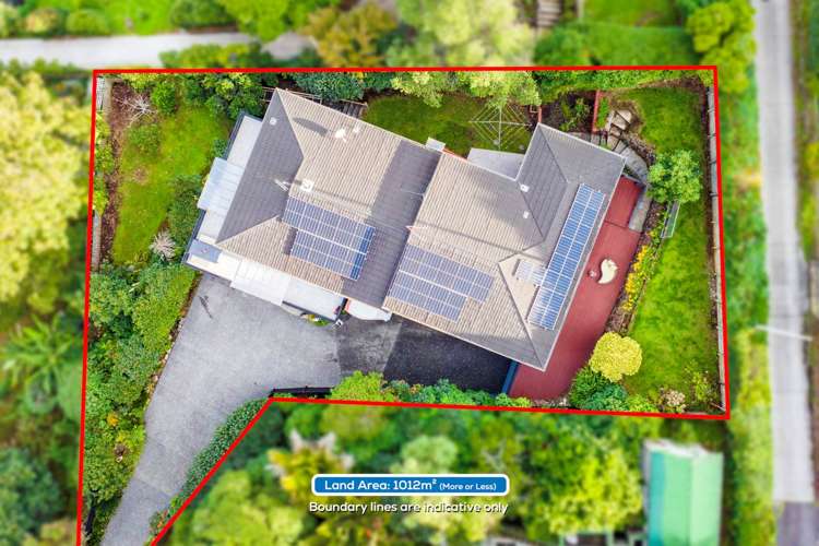 44a Selwyn Road Epsom_9