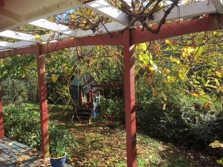 1415 Oparure Road Pomarangai_14