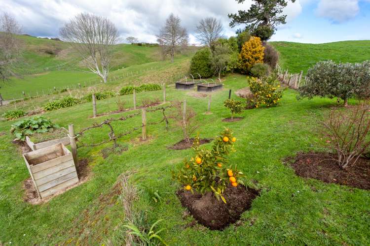 323 Dukeson Road Putaruru_19