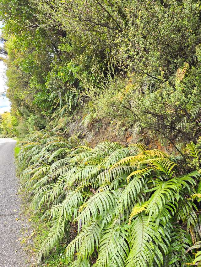 7 Rata Street Stewart Island_1