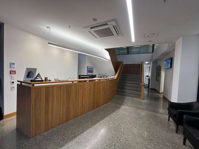 9 Francis Place Te Aro_1