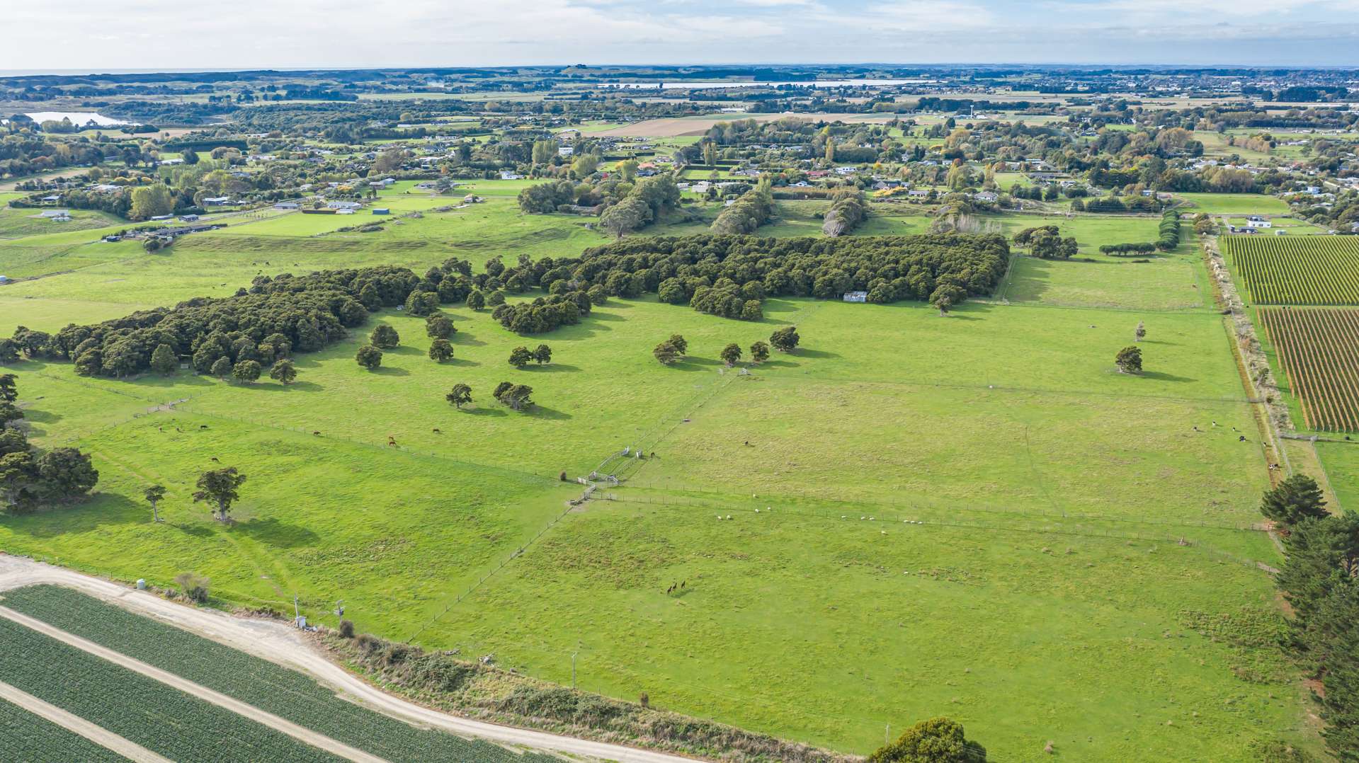 81 Muhunoa West Road Ohau_0