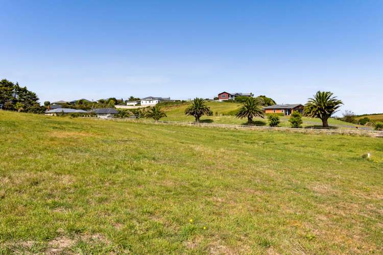 23a Larlin Drive Hawera_6