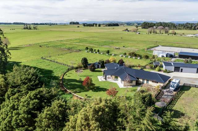 255 Calico Line Marton_1