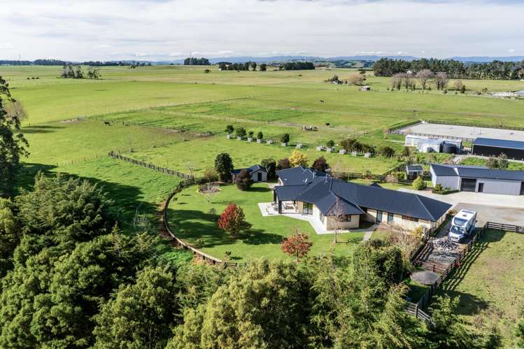 255 Calico Line Marton_1