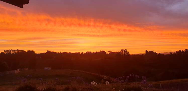 912 Omanawa Road Kaimai_27