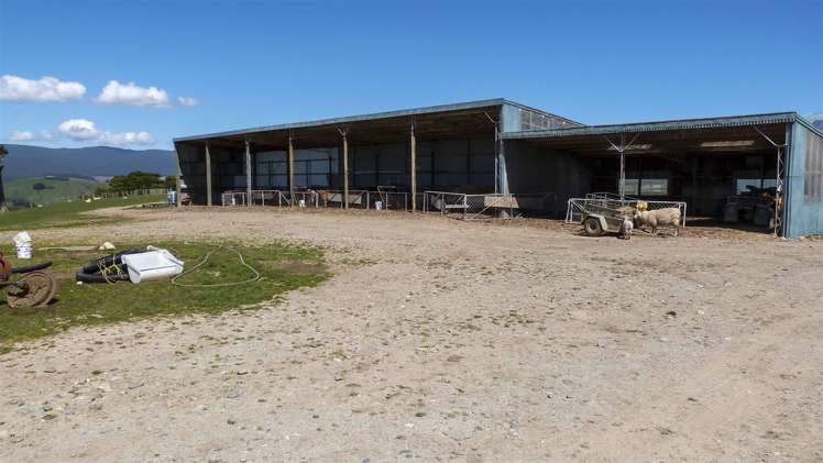 309 Hagen Road Orawia_13