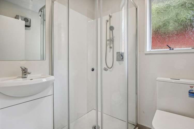 17a Buccleugh Street North East Valley_14