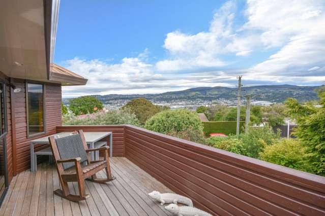 164 Larnach Road Waverley_1