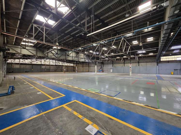 101 Collins Avenue Tawa_6