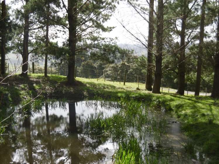 697 Tangihua Road Maungakaramea_20