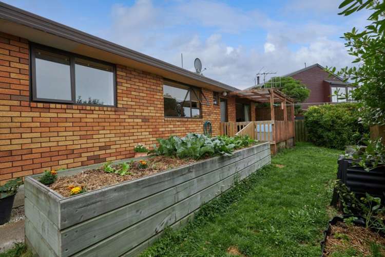283b Scarborough Street Kaikoura_32
